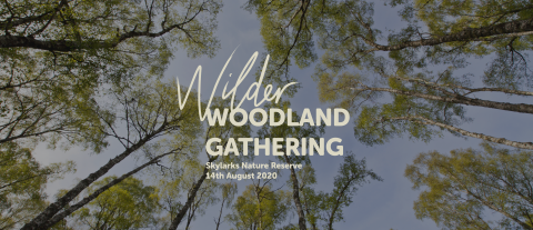 Wilder Woodland Gathering Web header