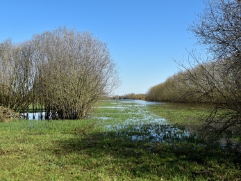 Pollybell farm landscape