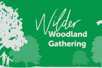 Wilder Woodland Gathering