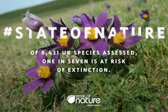 #State of Nature: of 8431 UK species assessed, one in seven is at risk of extinction