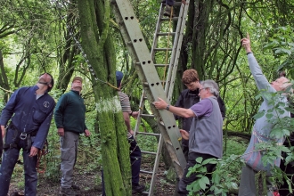 Ringing group and expert climbers monitoring a heronry