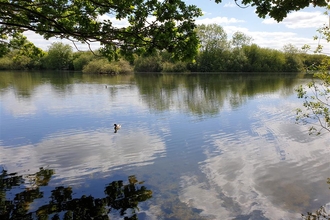 A view across the water at Attenborough Nature Reserve