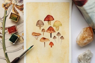 Mushrooms postcard show entry by @jannahart