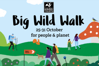 The Wildlife Trusts Big Wild Walk 2021 25-31 October, for people & planet