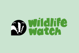 Wildlife Watch Logo