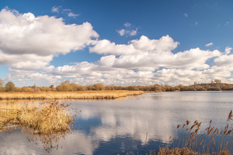 wetland with blue sky and water