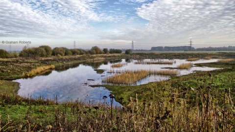 A view across the wetlands at Besthorpe