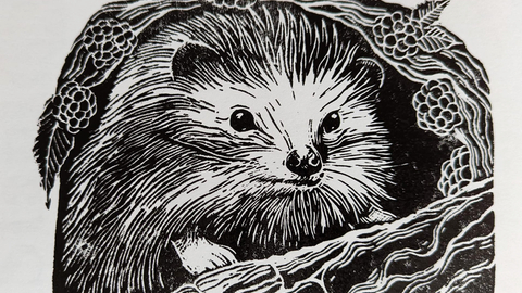Linoprint of a hedgehog