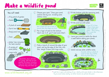 Build a Pond (1) - Wildlife Watch