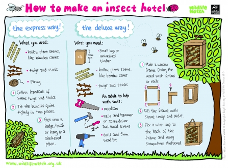 Insect hotel diagram