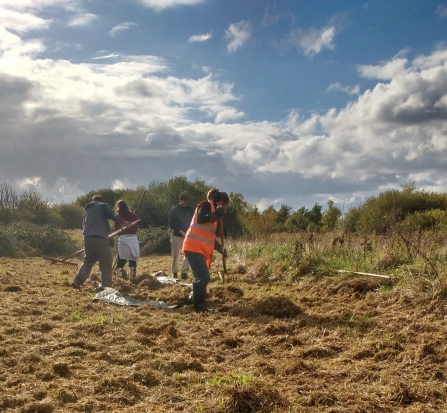 Volunteers collecting the arisings after mowing the meadow at Gresham Marsh