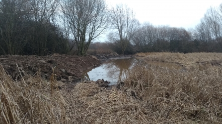 Gresham Marsh pond after conservation ground works had been carried out