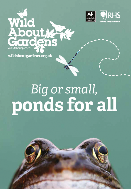 Big or small, ponds for all. Wild about Gardens RHS and The Wildlife Trusts free downloadable booklet