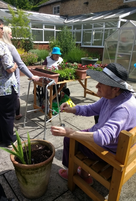 Langwith Lodge Residential Home residents planting pollinator friendly containers in their butterfly garden