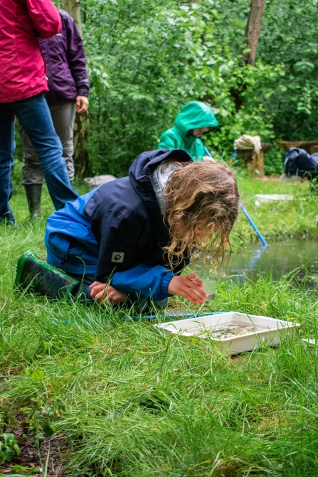 Rushcliffe pond dipping