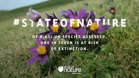 #State of Nature: of 8431 UK species assessed, one in seven is at risk of extinction
