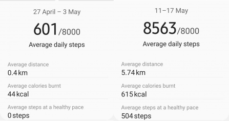 Alison's step count before and during the challenge