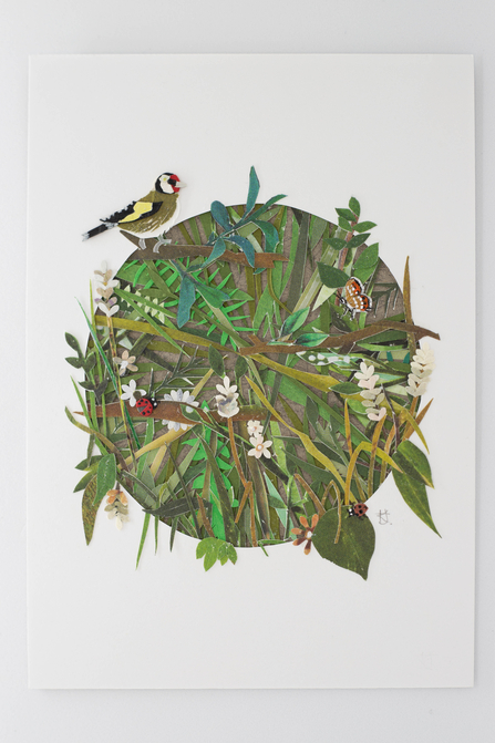 Postcard Show entry Natural Beauty. A circle of branches, leaves, thorns and flowers made from layers of paper also featuring a goldfinch, ladybird and butterfly.