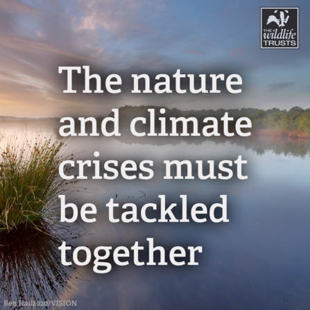 The nature and climate crises must be tackled together