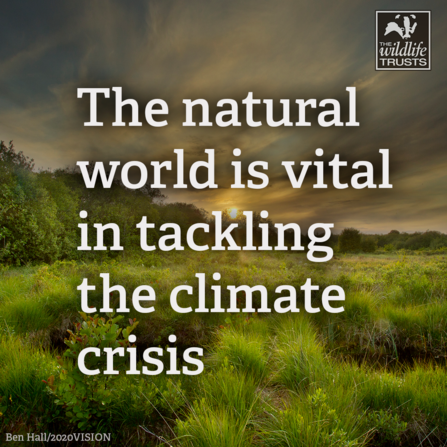 The natural world is vital in tackling the climate crisis