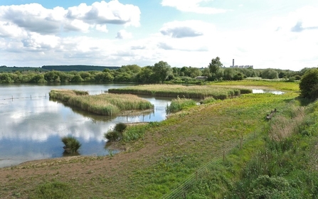 A view of Attenborough Nature Reserve