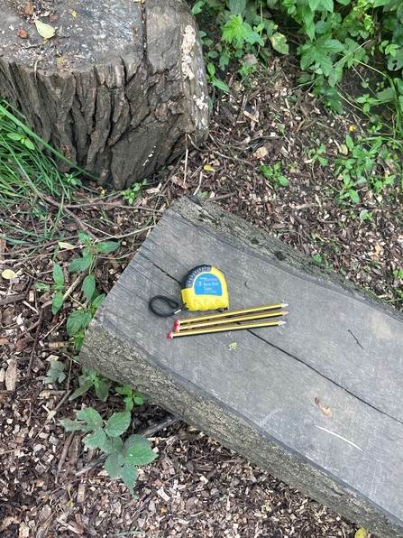 Pencils and tape measure