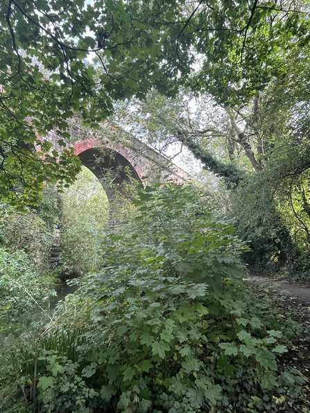 Brick bridge in woodland