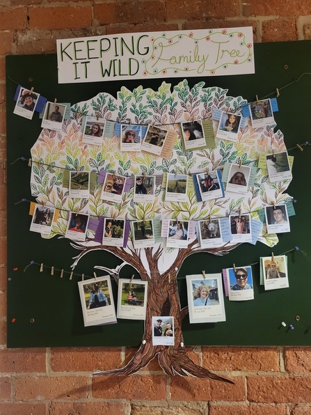 Display on a wall of photos of Keeping it Wild members on a picture of a tree, labelled Keeping it Wild Family Tree 