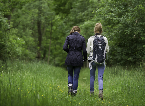 Two people walking away from the camera through a woodland. 