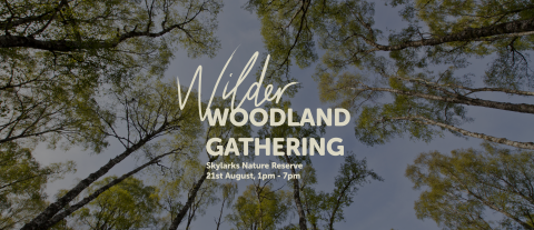 Wilder Woodland Gathering, Skylarks Nature Reserve, 21st August, 1pm-7pm