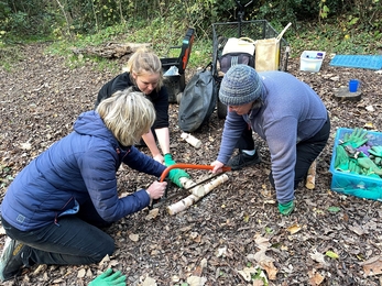 Bushcraft activity 