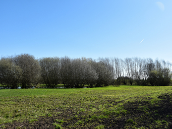 Pollybell farm landscape