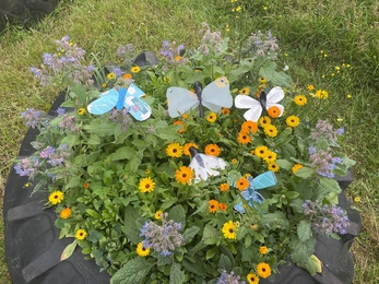 Butterflies made out of waste materials at the Meadows Butterfly Event