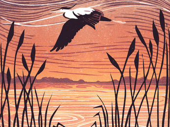 In Flight
