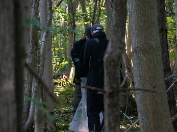 two people in trees