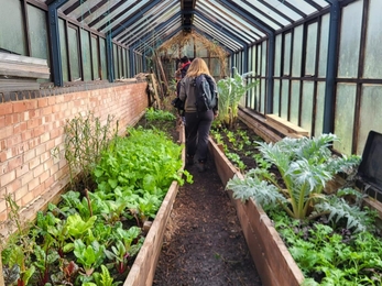 person inside a glass greenhouse