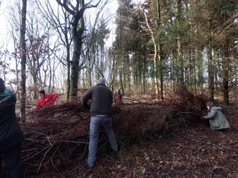 people making a hedge from dead branches 