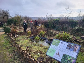 an allotment with a view of a cityscape 