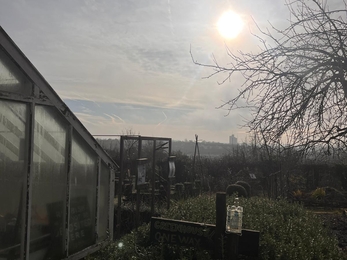 plot in the winter sun with greenhouse
