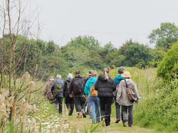 Group of people walking in nature