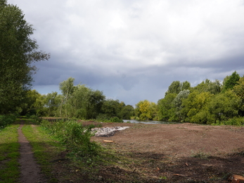 Cleared ground after tree felling next to river and footpath