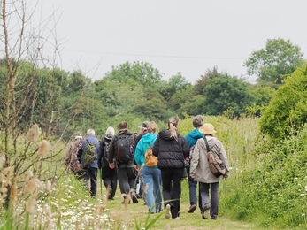 Group of people walking in nature