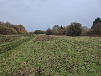 Neatly cleared grass field with trees in background