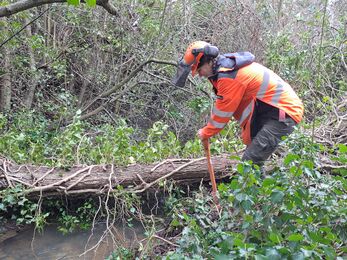 Worker dressed in high visibility gear digging near a branch across a stream