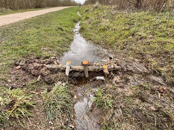 Stream with small dam