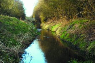 Bridge over stream Daneshill cpt Notts WT