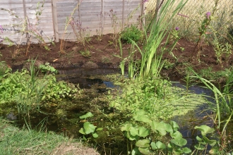 Pond building Notts WT