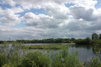 Besthorpe Nature Reserve