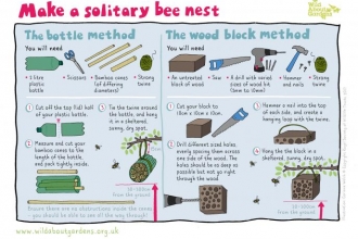 Make a solitary bee nest