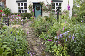 Wildlife garden © Tom Marshall